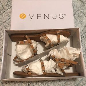 Venus Studded Gladiator Sandals - 9 1/2